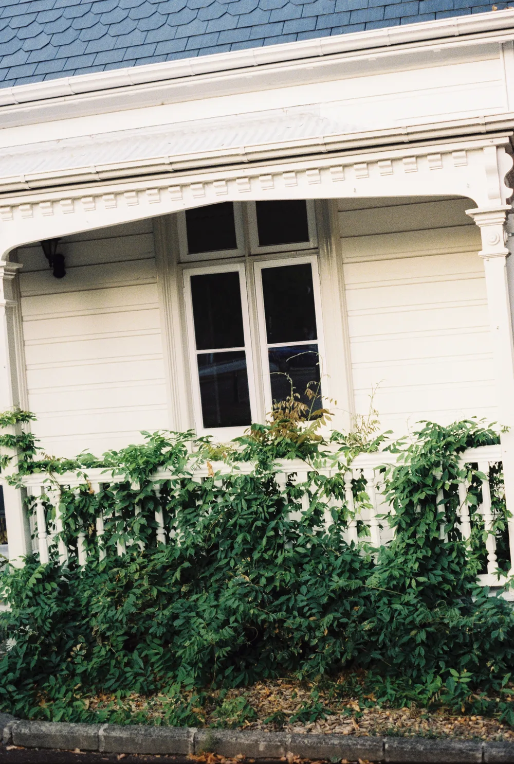 A white timber house behind a railing thick with climbing greenery, on Lomo 400, scanned on a Fuji Frontier.