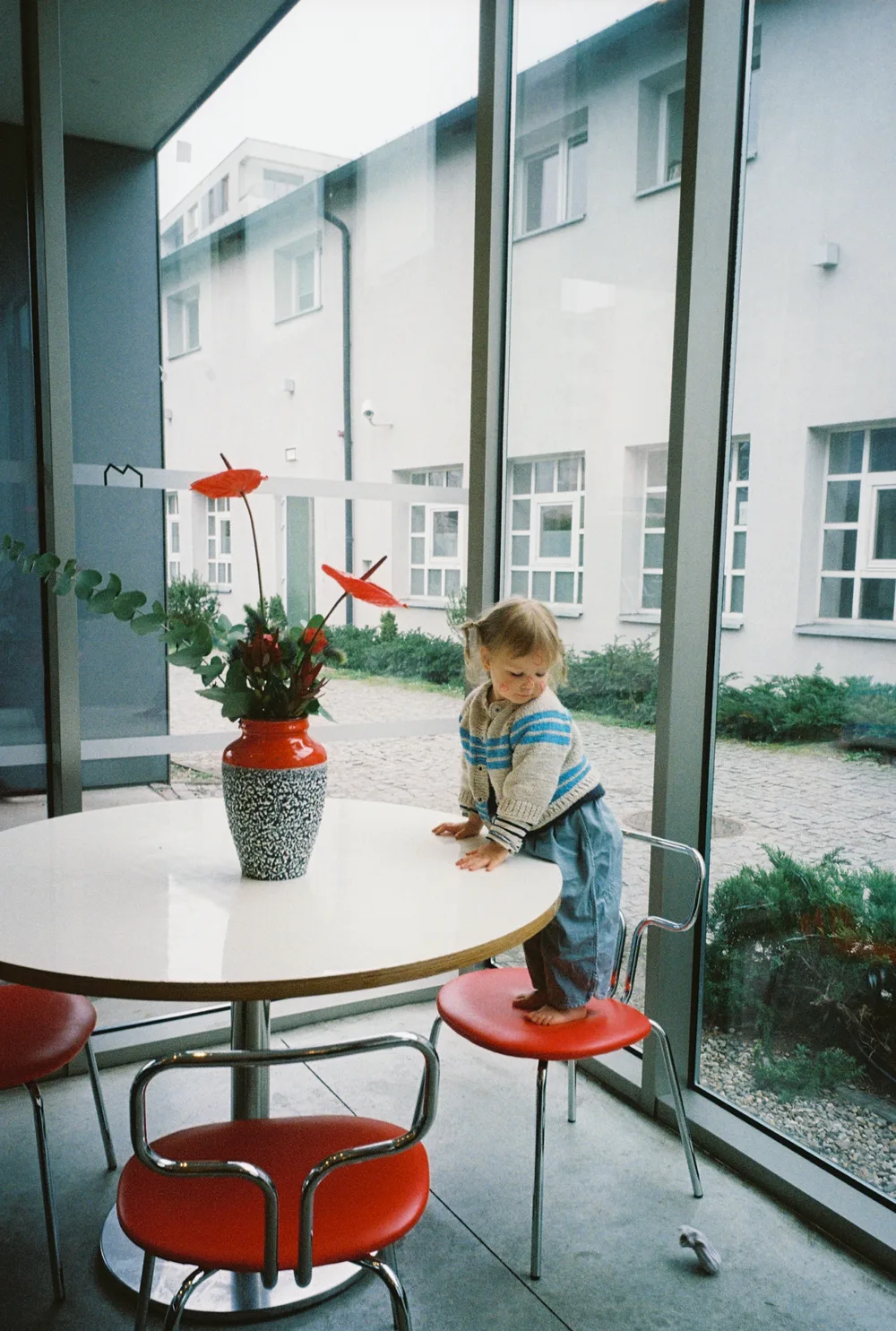 A small child standing on a café chair beside a window, on Kodak Ultramax 400, scanned on a Fuji Frontier.