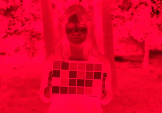 The same frame through the 665 nm band alone: one exposure, red, the chart's patches reading as densities rather than colours.