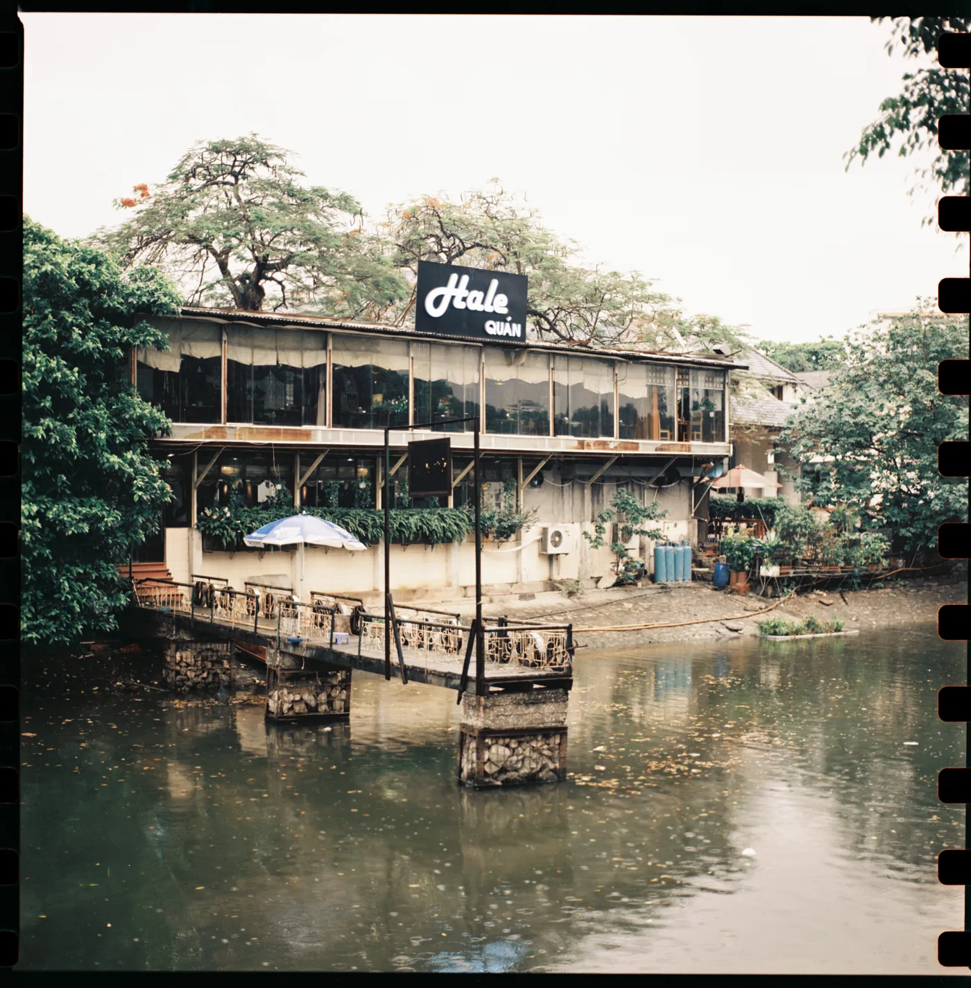 A café on stilts over a green pond, a blue-and-white umbrella on its terrace and tall trees overhead.
